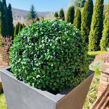 18 cm-es gömb buxus