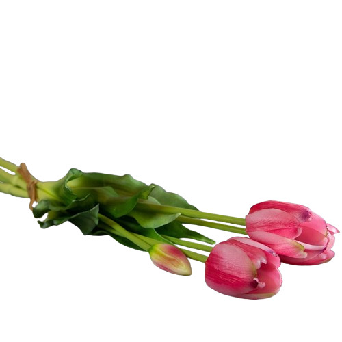Gyönyörű 5 szál rózsaszín gumi tulipán