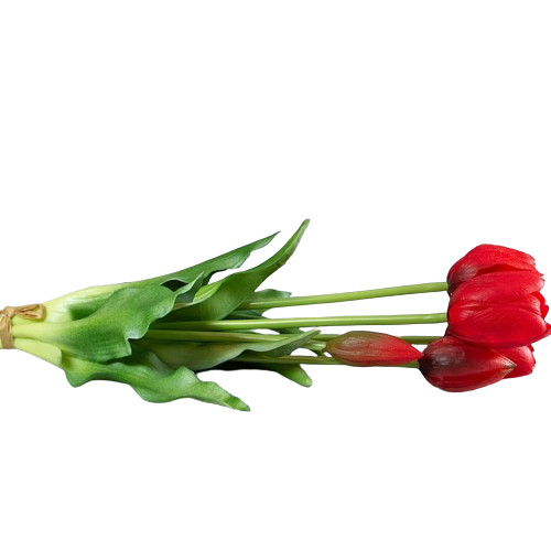 Gyönyörű 5 szál piros gumi tulipán
