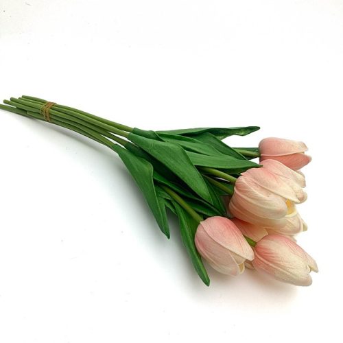 Cirmos-Rózsaszín tulipán