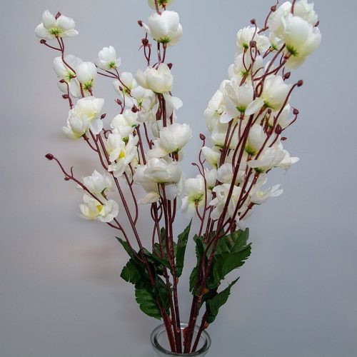 Fehér tavaszi virágágak