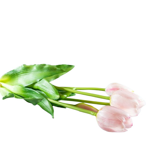 Gyönyörű 5 szál rózsaszín tulipán
