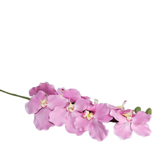 Nagyfejű rózsaszín orchidea 96 cm