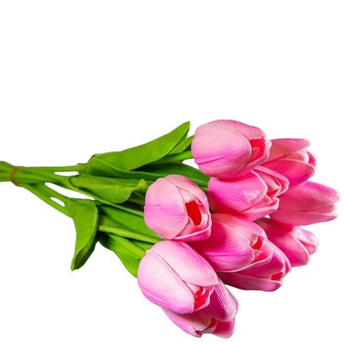 Sötétebb rózsaszín tulipán